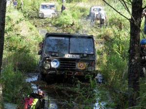 liqua 2016 (123)
